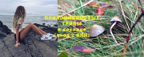 индика Магадан