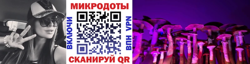 Галлюциногенные грибы Psilocybe  Купить где  Подольск 